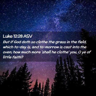 Picture 02 - Luke 12:28 ASV - But if God doth so clothe the grass in the field, - Bible Verse Picture