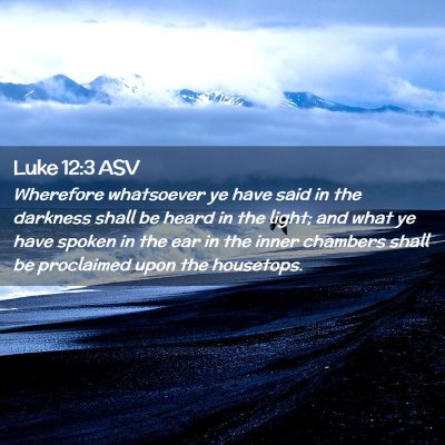 Picture 02 - Luke 12:3 ASV - Wherefore whatsoever ye have said in the darkness - Bible Verse Picture
