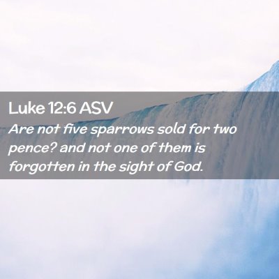 Picture 02 - Luke 12:6 ASV - Are not five sparrows sold for two pence? and not - Bible Verse Picture