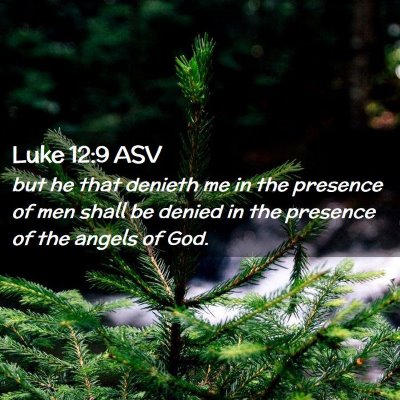 Picture 02 - Luke 12:9 ASV - but he that denieth me in the presence of men - Bible Verse Picture