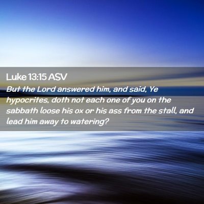 Picture 02 - Luke 13:15 ASV - But the Lord answered him, and said, Ye - Bible Verse Picture