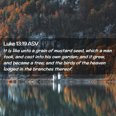 Picture 02 - Luke 13:19 ASV - It is like unto a grain of mustard seed, which a - Bible Verse Picture
