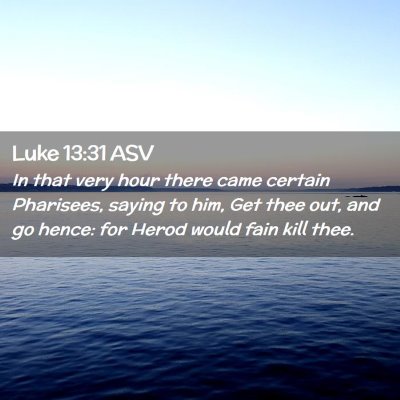 Picture 02 - Luke 13:31 ASV - In that very hour there came certain Pharisees, - Bible Verse Picture