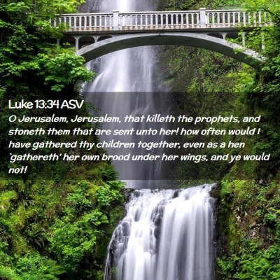 Picture 02 - Luke 13:34 ASV - O Jerusalem, Jerusalem, that killeth the - Bible Verse Picture