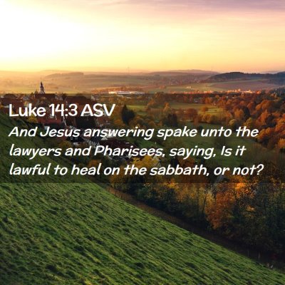 Picture 02 - Luke 14:3 ASV - And Jesus answering spake unto the lawyers and - Bible Verse Picture