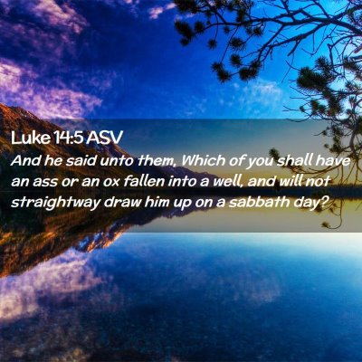 Picture 02 - Luke 14:5 ASV - And he said unto them, Which of you shall have an - Bible Verse Picture