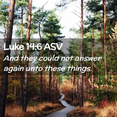 Picture 02 - Luke 14:6 ASV - And they could not answer again unto these - Bible Verse Picture