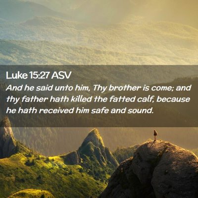 Picture 02 - Luke 15:27 ASV - And he said unto him, Thy brother is come; and - Bible Verse Picture