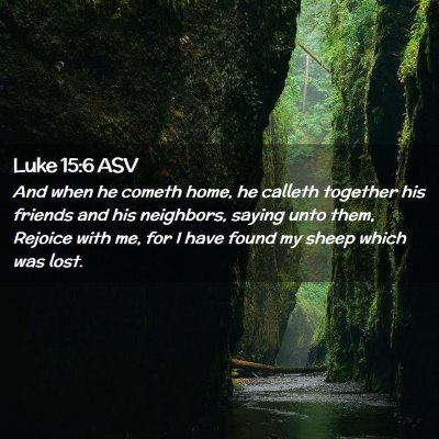 Picture 02 - Luke 15:6 ASV - And when he cometh home, he calleth together his - Bible Verse Picture