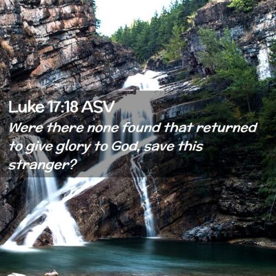 Picture 02 - Luke 17:18 ASV - Were there none found that returned to give glory - Bible Verse Picture