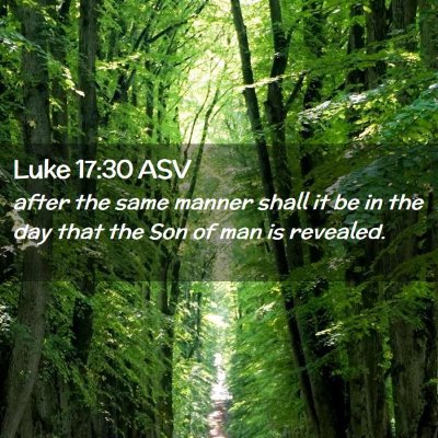 Picture 02 - Luke 17:30 ASV - after the same manner shall it be in the day that - Bible Verse Picture