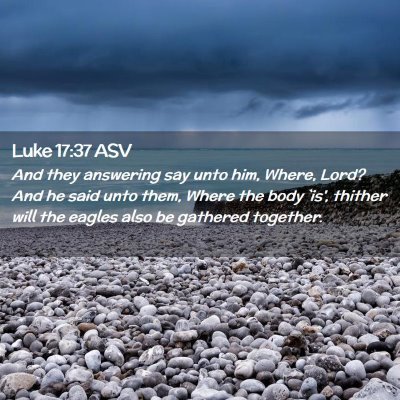 Picture 02 - Luke 17:37 ASV - And they answering say unto him, Where, Lord? And - Bible Verse Picture