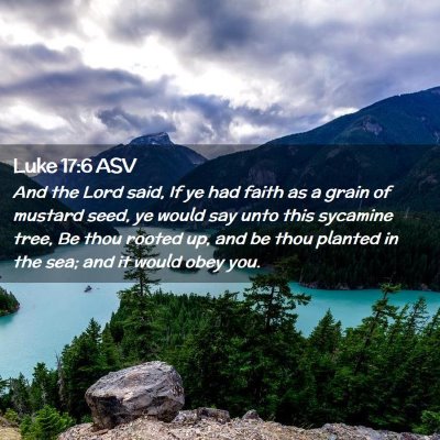 Picture 02 - Luke 17:6 ASV - And the Lord said, If ye had faith as a grain of - Bible Verse Picture