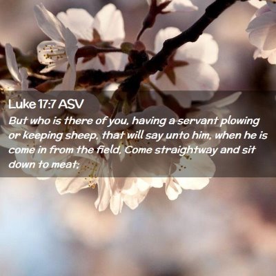 Picture 02 - Luke 17:7 ASV - But who is there of you, having a servant plowing - Bible Verse Picture