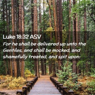 Picture 02 - Luke 18:32 ASV - For he shall be delivered up unto the Gentiles, - Bible Verse Picture