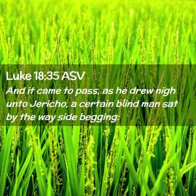 Picture 02 - Luke 18:35 ASV - And it came to pass, as he drew nigh unto - Bible Verse Picture