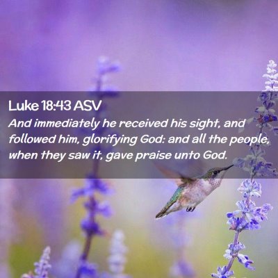 Picture 02 - Luke 18:43 ASV - And immediately he received his sight, and - Bible Verse Picture