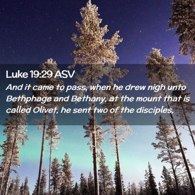 Picture 02 - Luke 19:29 ASV - And it came to pass, when he drew nigh unto - Bible Verse Picture