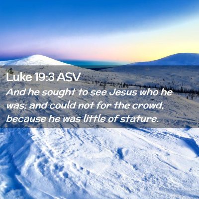 Picture 02 - Luke 19:3 ASV - And he sought to see Jesus who he was; and could - Bible Verse Picture