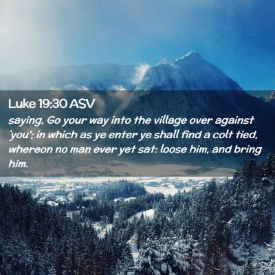Picture 02 - Luke 19:30 ASV - saying, Go your way into the village over against - Bible Verse Picture