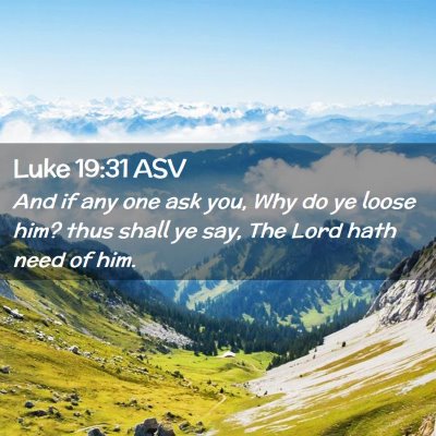 Picture 02 - Luke 19:31 ASV - And if any one ask you, Why do ye loose him? thus - Bible Verse Picture