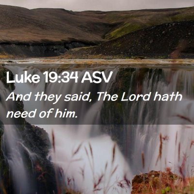 Picture 02 - Luke 19:34 ASV - And they said, The Lord hath need of - Bible Verse Picture