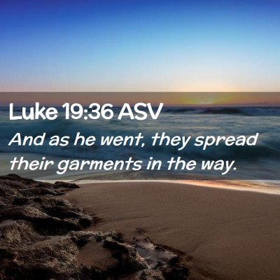 Picture 02 - Luke 19:36 ASV - And as he went, they spread their garments in the - Bible Verse Picture