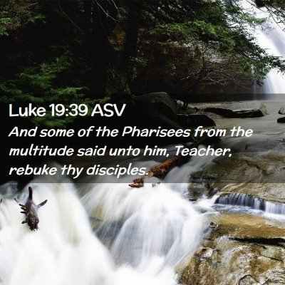 Picture 02 - Luke 19:39 ASV - And some of the Pharisees from the multitude said - Bible Verse Picture