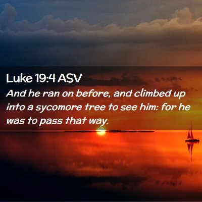 Picture 02 - Luke 19:4 ASV - And he ran on before, and climbed up into a - Bible Verse Picture