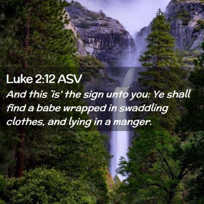 Picture 02 - Luke 2:12 ASV - And this `is' the sign unto you: Ye shall find a - Bible Verse Picture