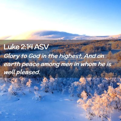 Picture 02 - Luke 2:14 ASV - Glory to God in the highest, And on earth peace - Bible Verse Picture