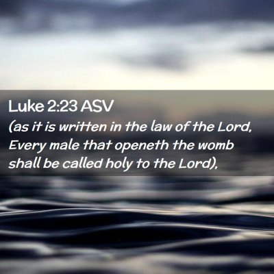 Picture 02 - Luke 2:23 ASV - (as it is written in the law of the Lord, Every - Bible Verse Picture