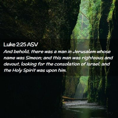 Picture 02 - Luke 2:25 ASV - And behold, there was a man in Jerusalem whose - Bible Verse Picture