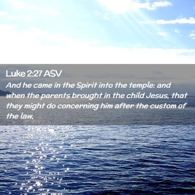 Picture 02 - Luke 2:27 ASV - And he came in the Spirit into the temple: and - Bible Verse Picture