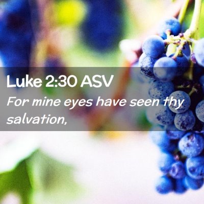 Picture 02 - Luke 2:30 ASV - For mine eyes have seen thy - Bible Verse Picture