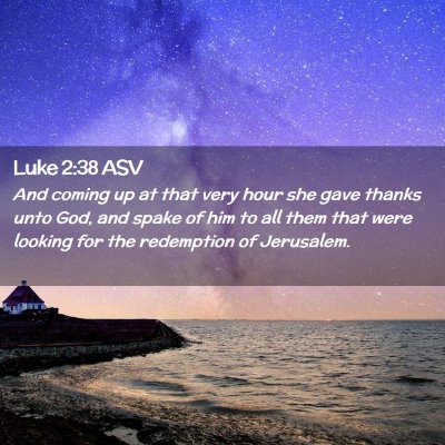 Picture 02 - Luke 2:38 ASV - And coming up at that very hour she gave thanks - Bible Verse Picture