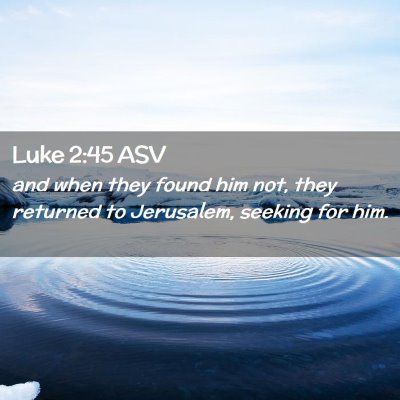 Picture 02 - Luke 2:45 ASV - and when they found him not, they returned to - Bible Verse Picture