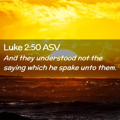 Picture 02 - Luke 2:50 ASV - And they understood not the saying which he spake - Bible Verse Picture