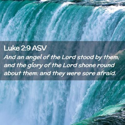 Picture 02 - Luke 2:9 ASV - And an angel of the Lord stood by them, and the - Bible Verse Picture
