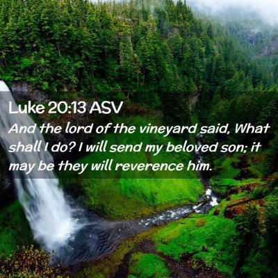 Picture 02 - Luke 20:13 ASV - And the lord of the vineyard said, What shall I - Bible Verse Picture
