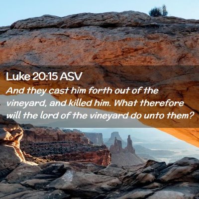 Picture 02 - Luke 20:15 ASV - And they cast him forth out of the vineyard, and - Bible Verse Picture