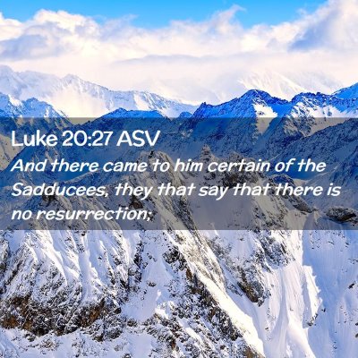 Picture 02 - Luke 20:27 ASV - And there came to him certain of the Sadducees, - Bible Verse Picture