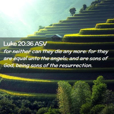 Picture 02 - Luke 20:36 ASV - for neither can they die any more: for they are - Bible Verse Picture