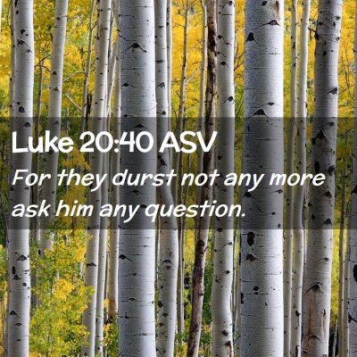 Picture 02 - Luke 20:40 ASV - For they durst not any more ask him any - Bible Verse Picture
