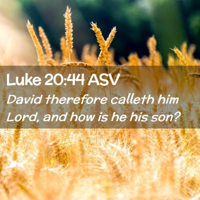 Picture 02 - Luke 20:44 ASV - David therefore calleth him Lord, and how is he - Bible Verse Picture
