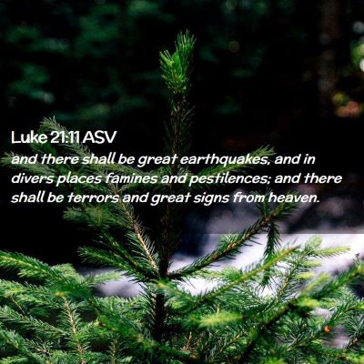 Picture 02 - Luke 21:11 ASV - and there shall be great earthquakes, and in - Bible Verse Picture