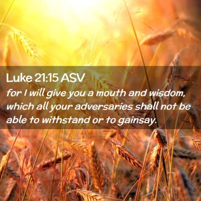 Picture 02 - Luke 21:15 ASV - for I will give you a mouth and wisdom, which all - Bible Verse Picture