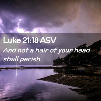 Picture 02 - Luke 21:18 ASV - And not a hair of your head shall - Bible Verse Picture