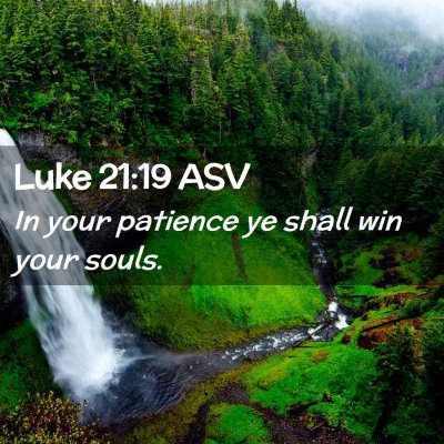 Picture 02 - Luke 21:19 ASV - In your patience ye shall win your - Bible Verse Picture