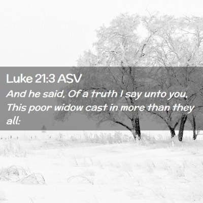 Picture 02 - Luke 21:3 ASV - And he said, Of a truth I say unto you, This poor - Bible Verse Picture
